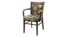 Dining / Activity Chair - Dining or activity chair for health care homes