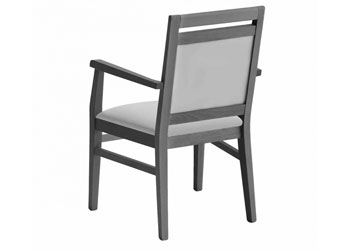 Dining chair for healthcare