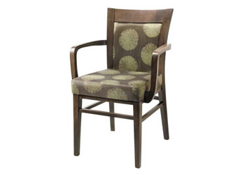 Dining or activity chair for health care homes