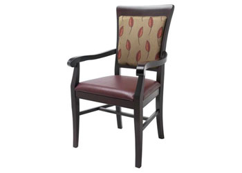 Dining or activity chair for health care homes