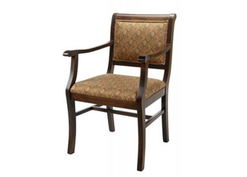 Dining or activity chair for health care homes